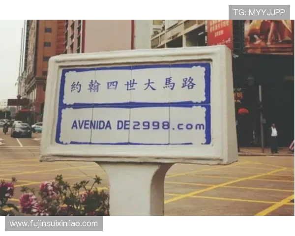 澳门新葡京集团官网提供的在线投注和娱乐游戏安全性及操作指南详解